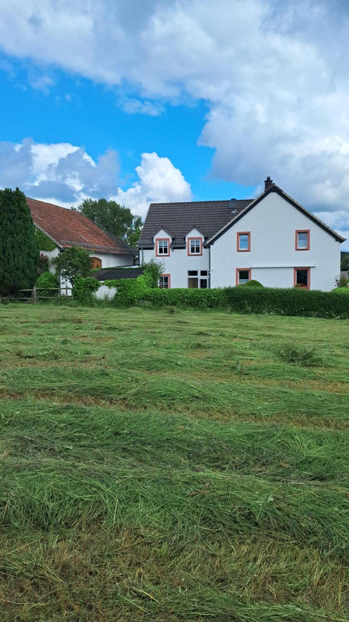 Ferienwohnung Eifelgold Esch Esch  المظهر الخارجي الصورة